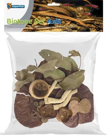 Biotope Set Asia