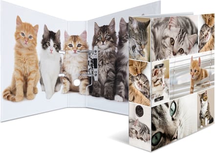 Ordner A4 Katzen