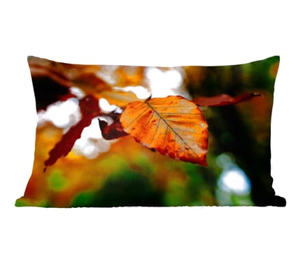Sierkussens - Kussentjes Woonkamer - 60x40 cm - Beuk - Herfst - Bladeren