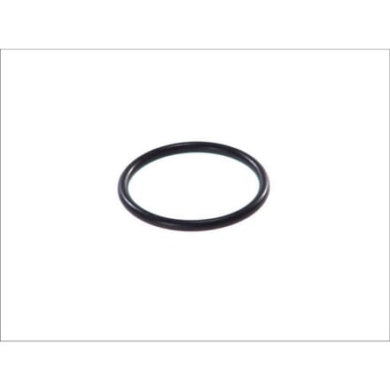 Topran Pakking, thermostaat HANS PRIES 100 996