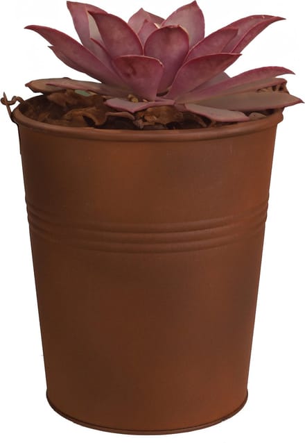 Sunnydays Emmer/plantenpot/bloempot - zink - roestbruin - D20 x H22cm