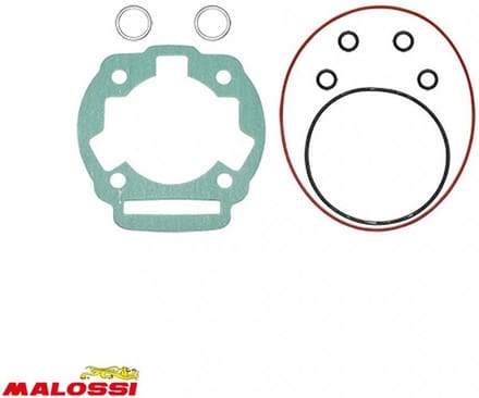 Malossi motorafdichting voor Gilera 50 RCR 2006 1112982 Gloednieuw