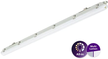 Philips - LED Montagebalk - Waterdicht - Ledinaire - WT065C - 30/53W - 4100/6800lm - 840 Koel Wit - 150cm