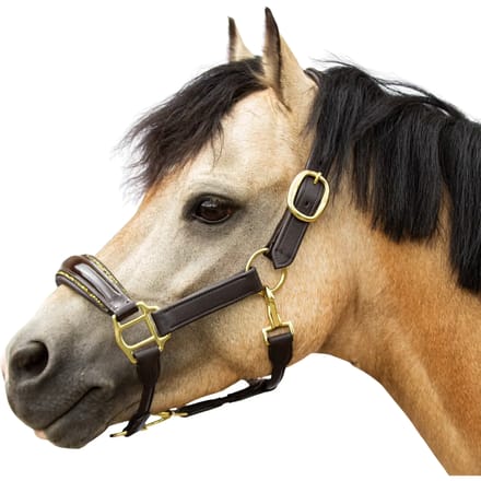 Leren halster voor pony Bridlery Eternity