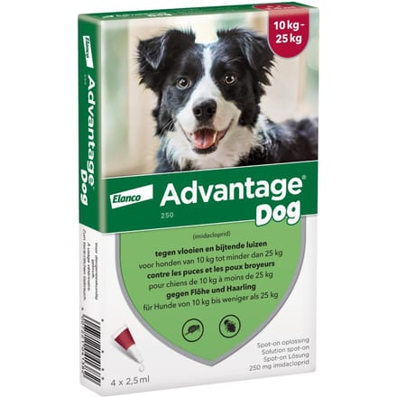 Advantage® 250 voor Honden 10 - 25 kg - Dubbelpak 2 x 4 Pipetten - BE