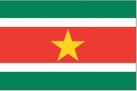 Vlag Suriname 30x45cm