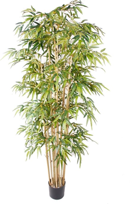 Emerald - Kunstplant Bamboe Deluxe 205cm - Kunstplant voor binnen