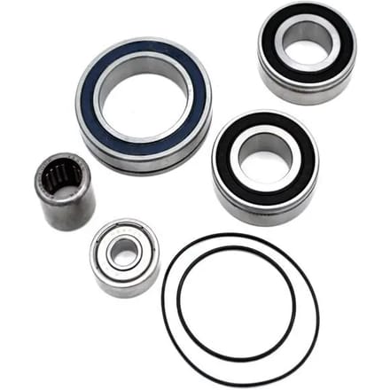 Lagerset voor 36v panasonic motor Black Bearing