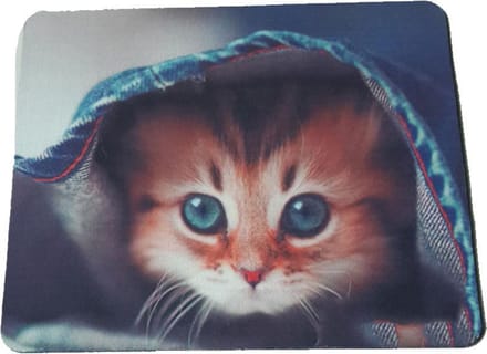 Leuke Muismat Met Kat 180X220X2 Mm