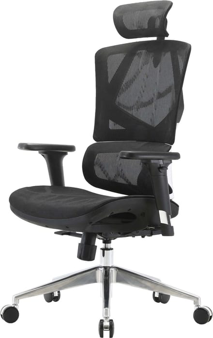 SIHOO bureaustoel bureaustoel ergonomisch, lendensteun hoge rugleuning 3D armleuningen ~ mesh zwart