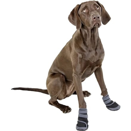 Kerbl Pootbescherming Active - Hondenschoenen - Grijs - 6,5 x 6,0 cm