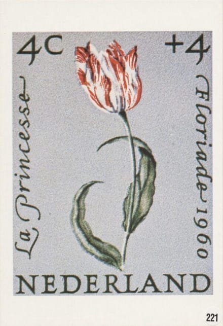 Briefkaart met afbeelding Tulp postzegel