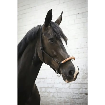 Halster voor Amerikaans ethologisch paard Pénélope