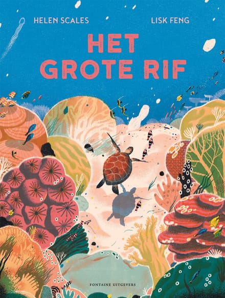 Het grote rif 6 jr+