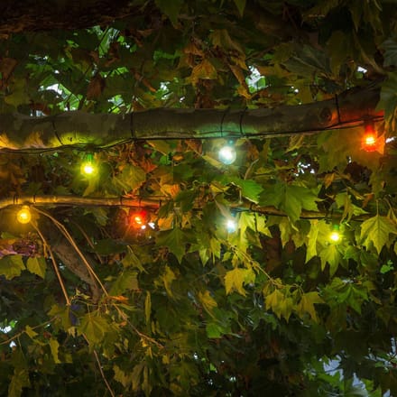 Konstsmide 2397 - Feestverlichting  koppelbaar tot 40m - verlengsnoer 10 lamps transp 80 LED - 1000 cm - 24V - voor buiten - multicolor