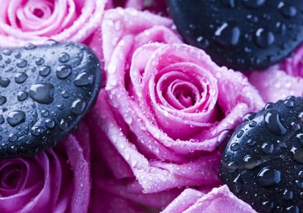 Flowers Photo Wallcovering