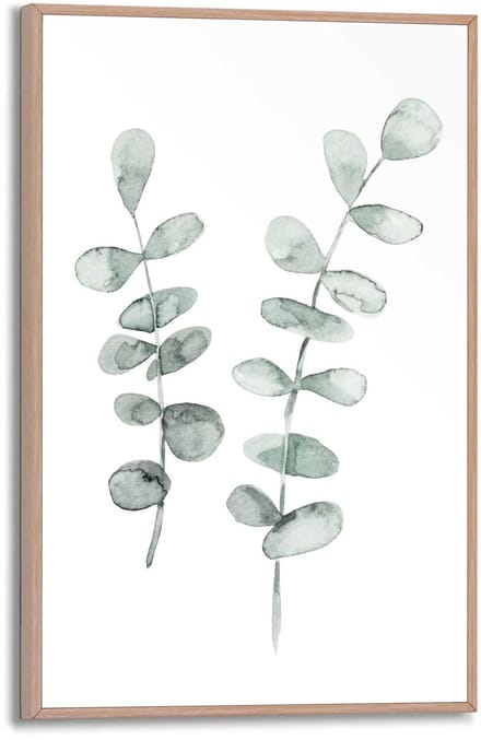 Schilderij Eucalyptus - 30 x 20 - Hout - REINDERS