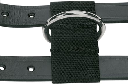 Busse Longeersingel Professional Leder - Zwart - WB (170-240 cm)