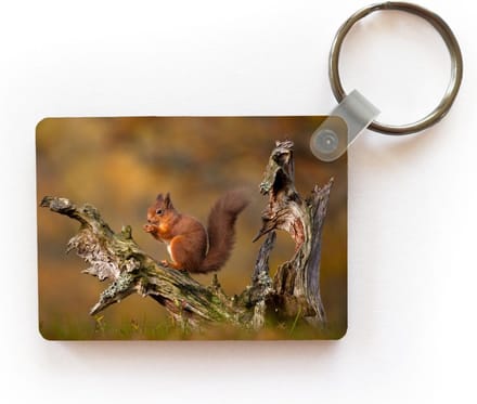 Sleutelhanger - Rode eekhoorn in de herfst - Uitdeelcadeautjes - Plastic