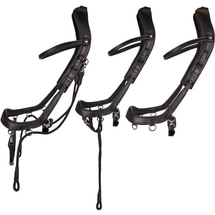 PresTeq Bitloos Hoofdstel FaySport Zwart - Full