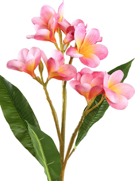 PTMD Garden Flower Pink With Leaves
