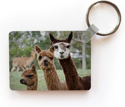 Sleutelhanger - Alpaca - Dier - Bruin - Uitdeelcadeautjes - Plastic