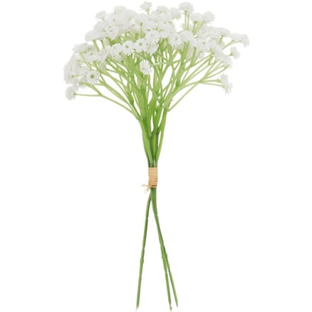 VBS Gipskruid bos "Florissa" - Wit
