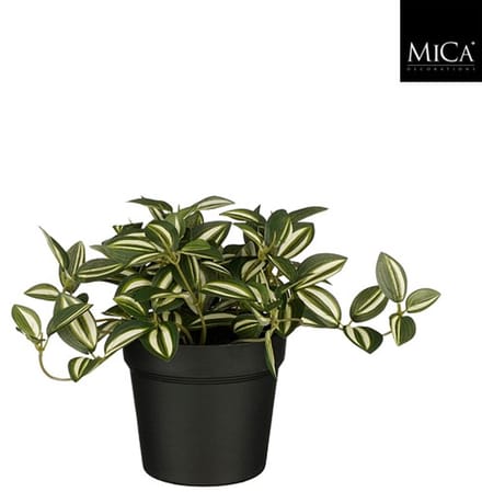 Kunstplant Mica Tradescantia in pot groen 16x16cm