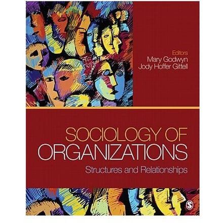 Sociology Of Organizations - Godwyn