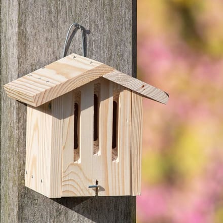 Kids Bouwpakket Vlinderhuis Dana
