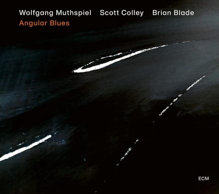 Wolfgang Muthspiel, Scott Colley, Brian Blade - Angular Blues (CD)
