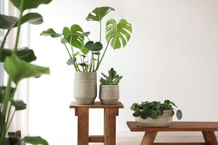 Delhi Pot Groen D 16 x H 14