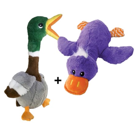 Combideal: Kong Comfort Jumbo Eend 40 cm + Kong Shakers Honkers Eend 45 cm Pluche