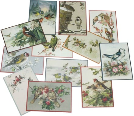 Mapje enkele kaarten Vogels (12st) 15x10,5cm