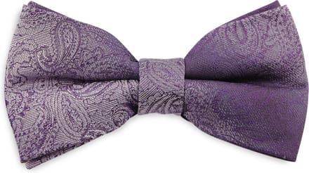 We Love Ties - Strikken - Strik Paisley Duo paars - paars / grijs
