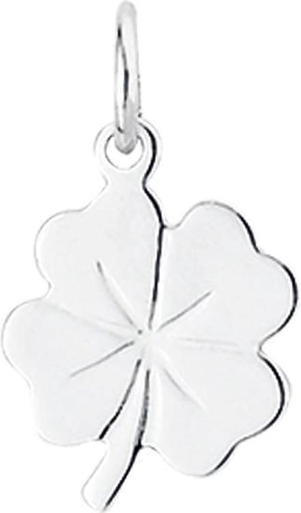 The Jewelry Collection Bedel Klavertje - Goud