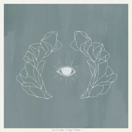 José González - Vestiges & Claws (LP)