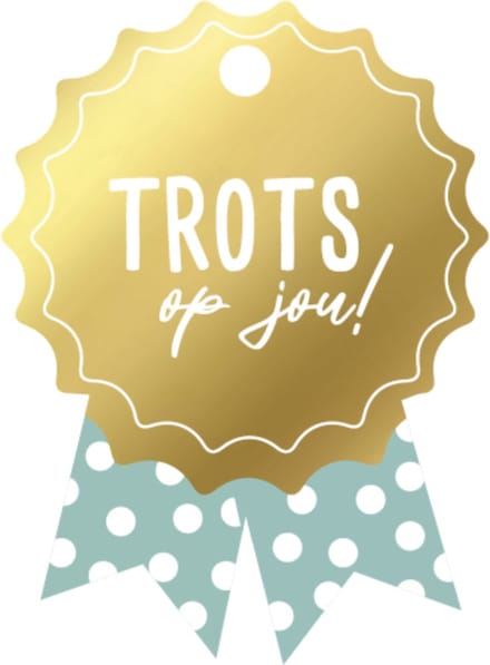 Cadeaulabel medaille trots op jou - 10 stuks - 48 x 65,5 mm