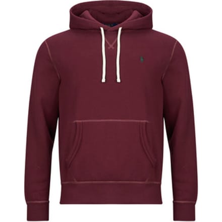 Capuchon sweaters Polo Ralph Lauren SWEAT A CAPUCHE MOLTONE EN COTON