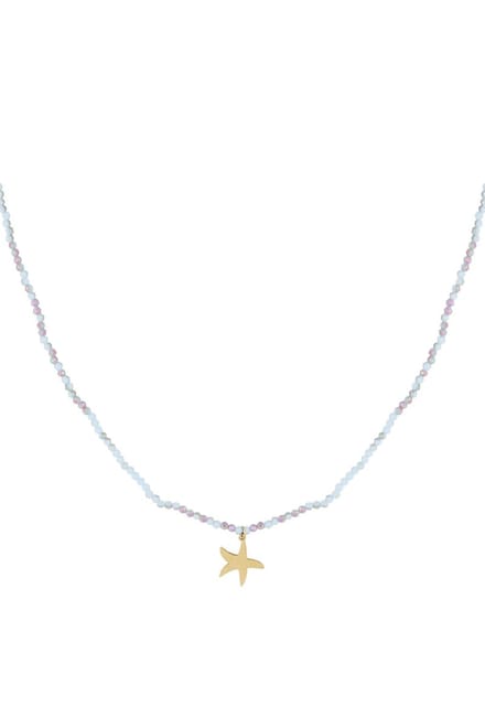 Ketting kleurrijke zeester