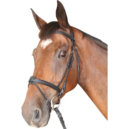 Gecombineerde hoofdstellen Privilège Equitation Cabourg