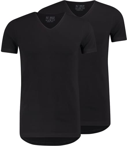 RJ Everyday 2-Pack Den Bosch T-Shirt Regular V-Hals Zwart M