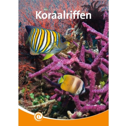 Koraalriffen - Informatie - Geert-Jan Roebers