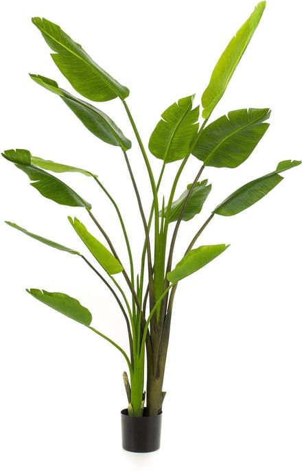 Emerald - Kunstplant Strelitzia Nicolai 180cm - Kunstplant voor binnen