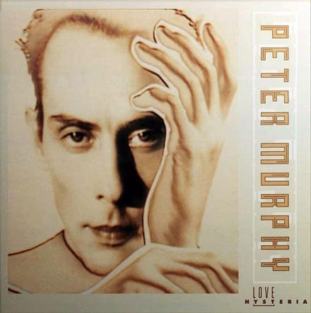 Love Hysteria - Peter Murphy