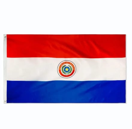 Go Go Gadget - Vlag - 90x150cm - Paraguay