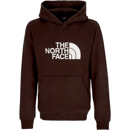 The North Face Drew Peak Hoodie Heren - Maat S