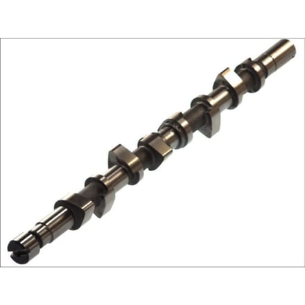 Nokkenas  AMC 662851