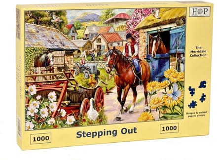House of Puzzles Stepping Out - 1000 Piece Jigsaw Puzzle.