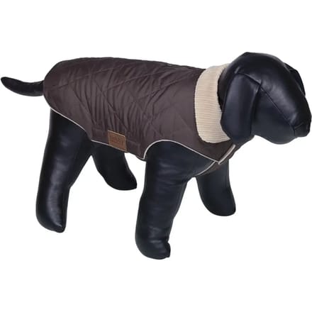 Hondenjas Nobby Pet Karol